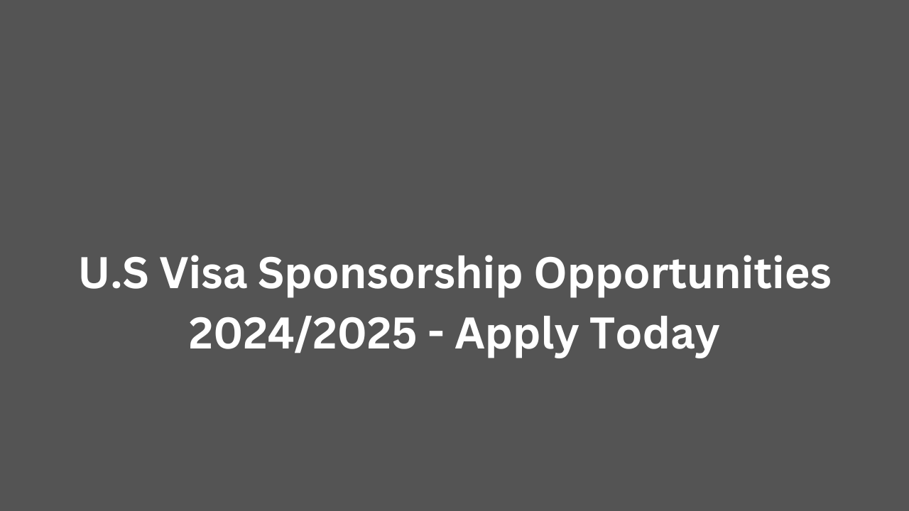 U.S Visa Sponsorship Opportunities